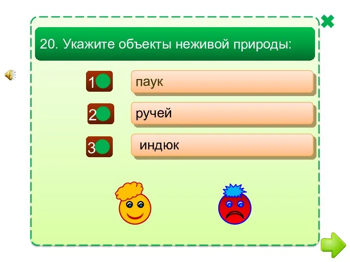 - - + паук ручей индюк 20. Укажите объекты неживой природы: