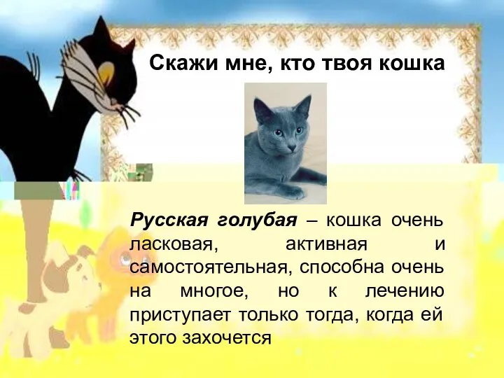 Скажи мне, кто твоя кошка Русская голубая – кошка очень ласковая,