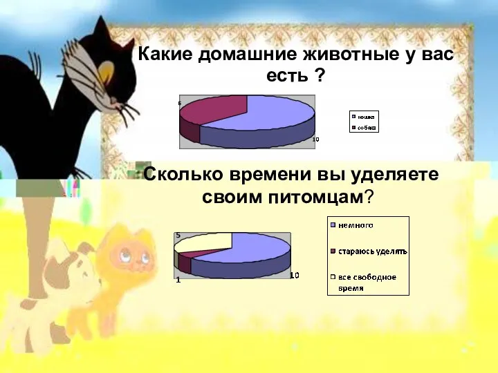 Какие домашние животные у вас есть ? Сколько времени вы уделяете своим питомцам?