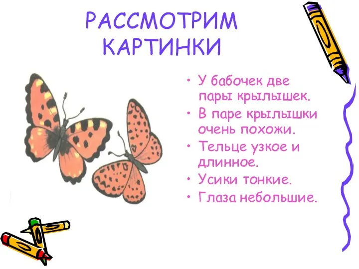 РАССМОТРИМ КАРТИНКИ У бабочек две пары крылышек. В паре крылышки очень