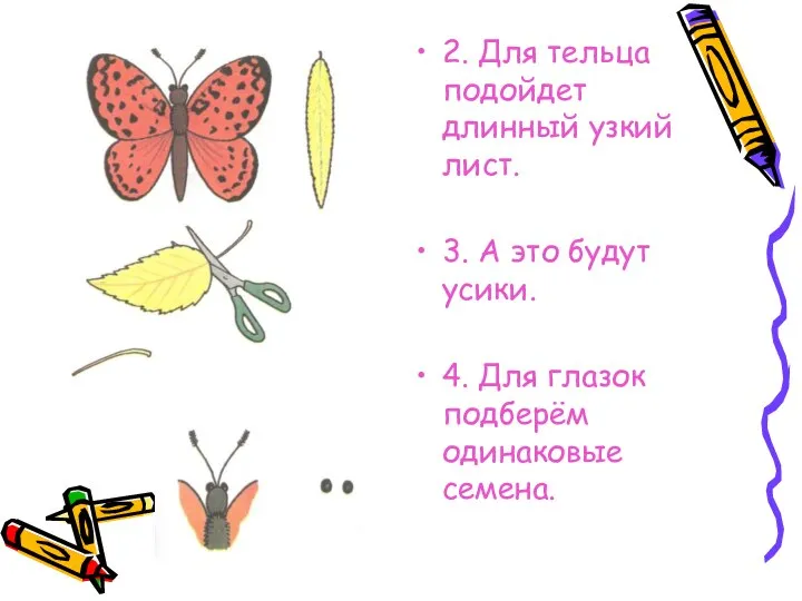 2. Для тельца подойдет длинный узкий лист. 3. А это будут