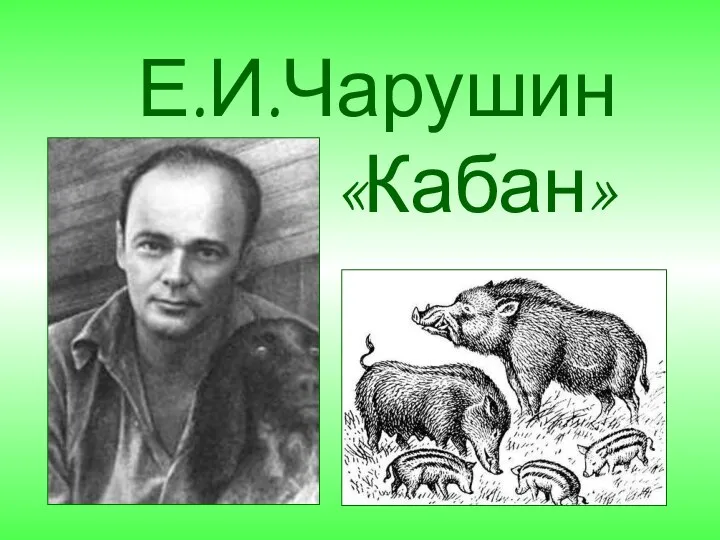 Е.И.Чарушин «Кабан»