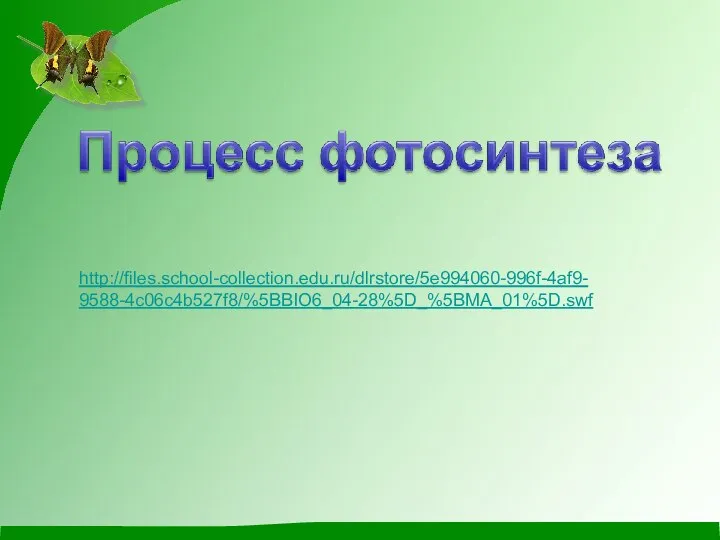 http://files.school-collection.edu.ru/dlrstore/5e994060-996f-4af9- 9588-4c06c4b527f8/%5BBIO6_04-28%5D_%5BMA_01%5D.swf