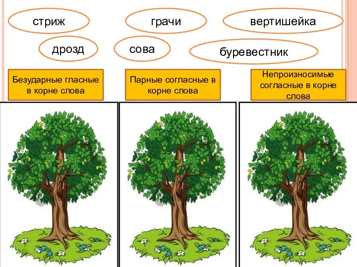 Безударные гласные в корне слова Парные согласные в корне слова Непроизносимые