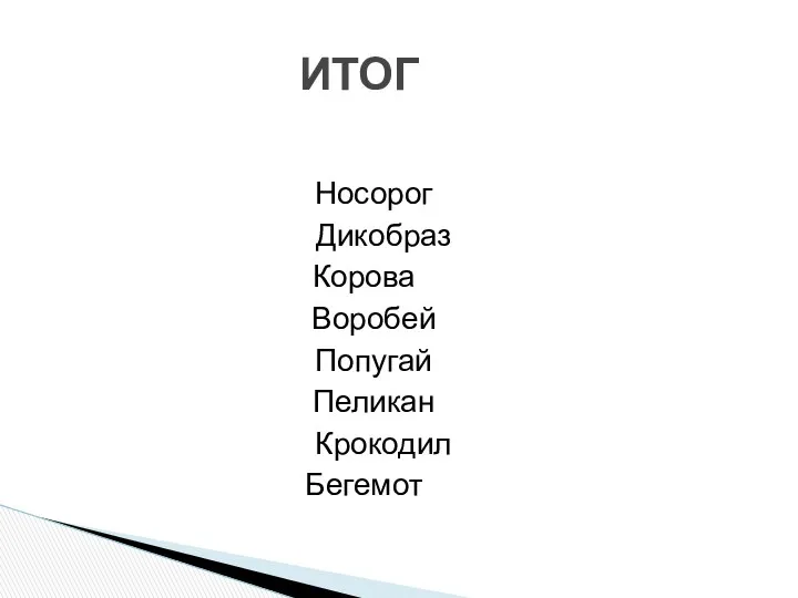 Носорог Дикобраз Корова Воробей Попугай Пеликан Крокодил Бегемот ИТОГ