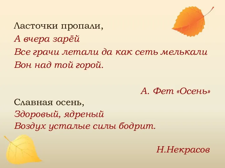 Ласточки пропали, А вчера зарёй Все грачи летали да как сеть