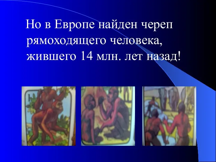 Но в Европе найден череп рямоходящего человека, жившего 14 млн. лет назад!