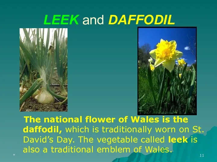 * LEEK and DAFFODIL The national flower of Wales is the