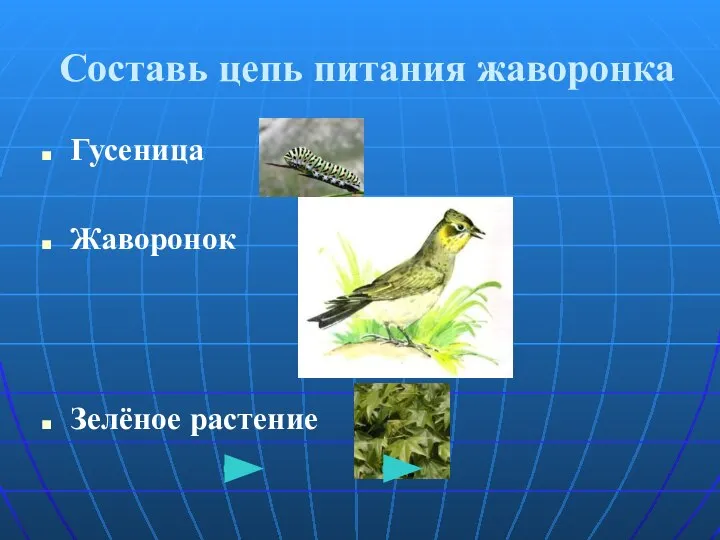 Составь цепь питания жаворонка Гусеница Жаворонок Зелёное растение