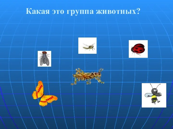 Какая это группа животных?