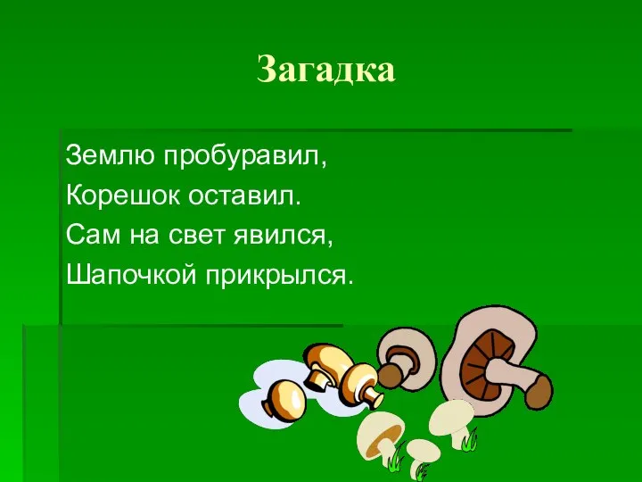 Загадка Землю пробуравил, Корешок оставил. Сам на свет явился, Шапочкой прикрылся.