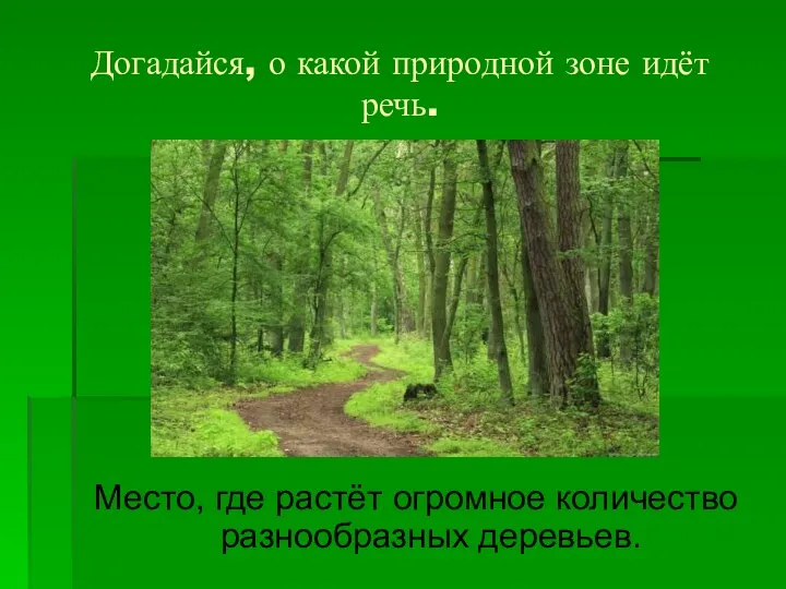 Догадайся, о какой природной зоне идёт речь. Место, где растёт огромное количество разнообразных деревьев.