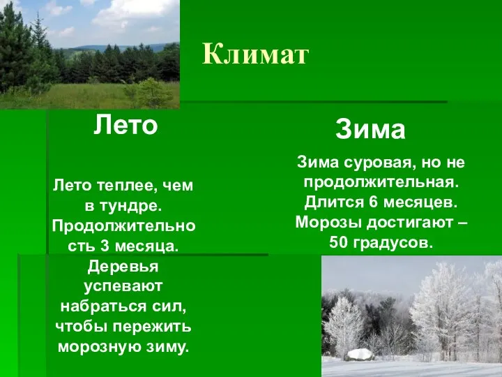 Климат Лето Зима Лето теплее, чем в тундре. Продолжительность 3 месяца.