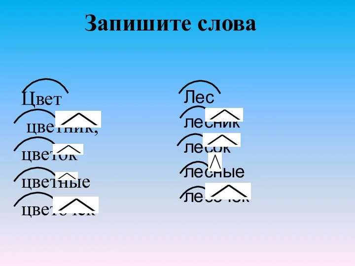 Запишите слова Цвет цветник, цветок цветные цветочек Лес лесник лесок лесные лесочек