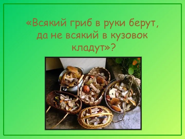 «Всякий гриб в руки берут, да не всякий в кузовок кладут»?