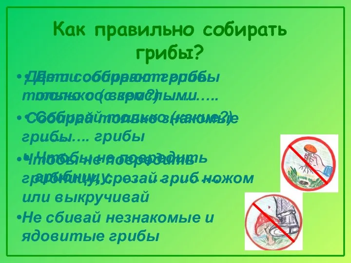 Как правильно собирать грибы? Дети собирают грибы только (с кем?) ………..