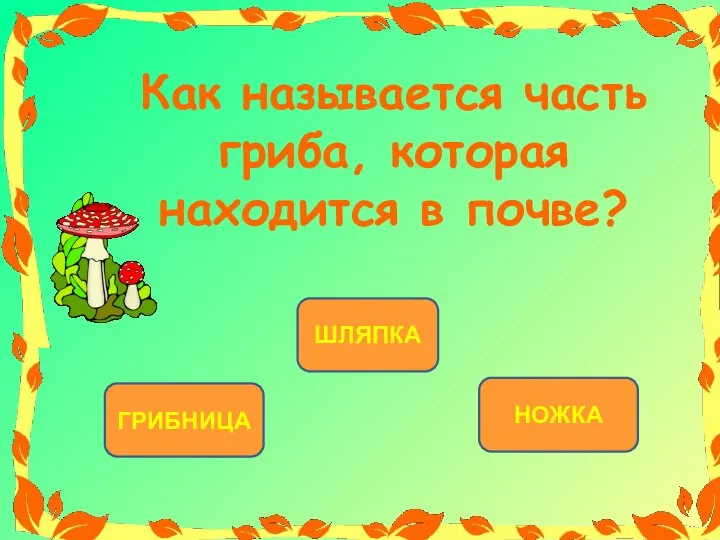 ГРИБНИЦА ШЛЯПКА НОЖКА Как называется часть гриба, которая находится в почве?