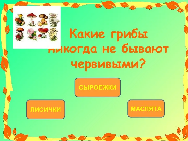 ЛИСИЧКИ СЫРОЕЖКИ МАСЛЯТА Какие грибы никогда не бывают червивыми?