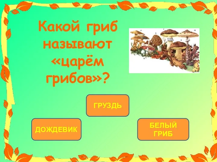 БЕЛЫЙ ГРИБ ДОЖДЕВИК ГРУЗДЬ Какой гриб называют «царём грибов»?