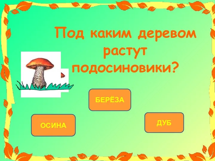 ОСИНА БЕРЁЗА ДУБ Под каким деревом растут подосиновики?