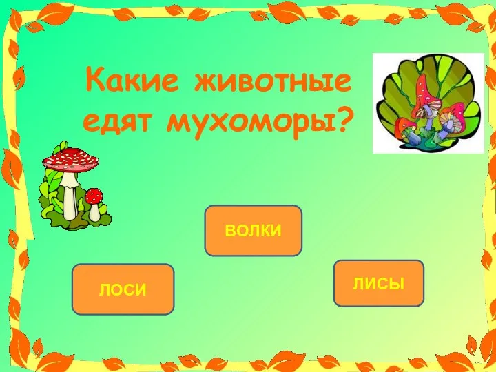 ЛОСИ ВОЛКИ ЛИСЫ Какие животные едят мухоморы?