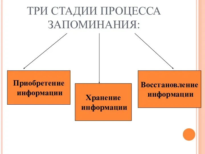 ТРИ СТАДИИ ПРОЦЕССА ЗАПОМИНАНИЯ: Приобретение информации Хранение информации Восстановление информации