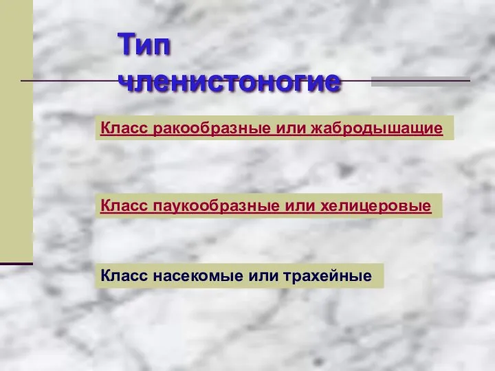 Тип членистоногие Класс ракообразные или жабродышащие Класс паукообразные или хелицеровые Класс насекомые или трахейные