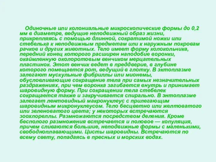 Одиночные или колониальные микроскопические формы до 0,2 мм в диаметре, ведущие