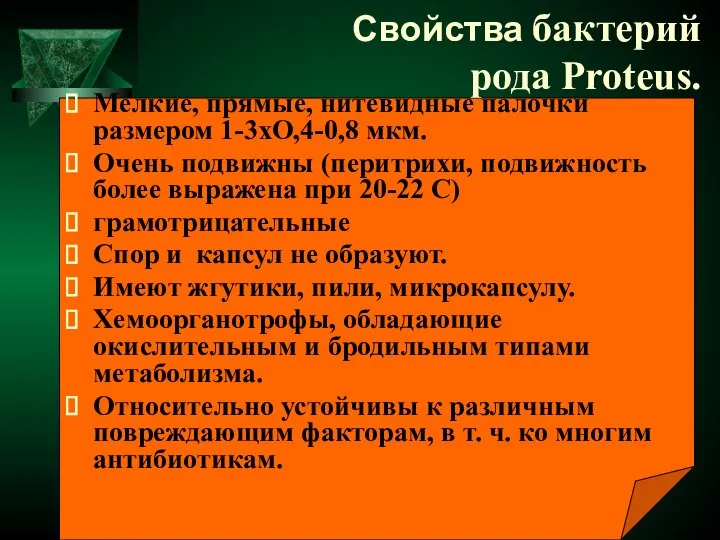 Мелкие, прямые, нитевидные палочки размером 1-3хО,4-0,8 мкм. Очень подвижны (перитрихи, подвижность