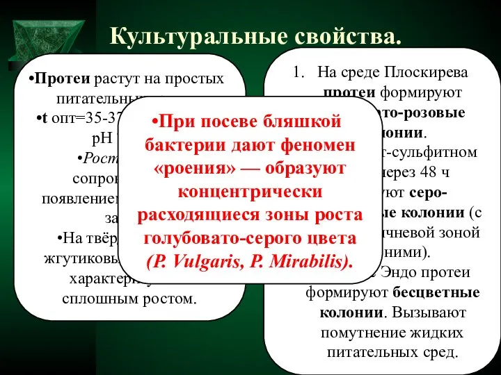 Культуральные свойства. Протеи растут на простых питательных средах, t опт=35-37 "С,