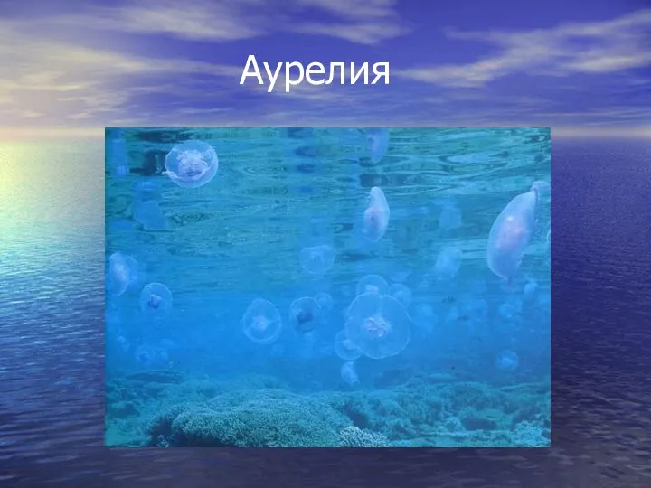 Аурелия