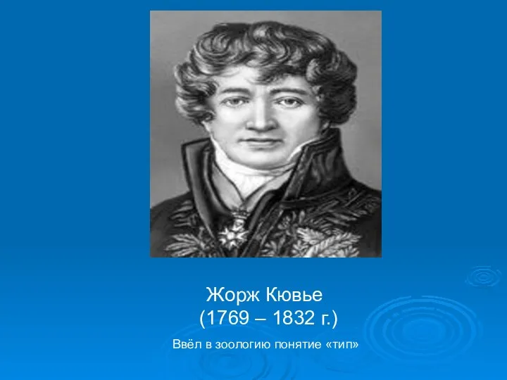 Жорж Кювье (1769 – 1832 г.) Ввёл в зоологию понятие «тип»