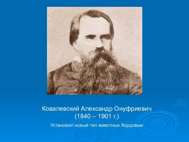 Ковалевский Александр Онуфриевич (1840 – 1901 г.) Установил новый тип животных Хордовые