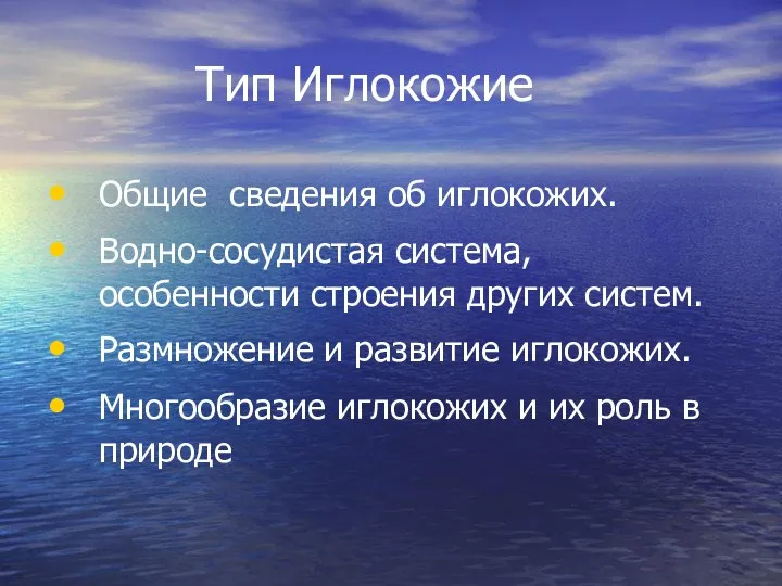 Тип Иглокожие Общие сведения об иглокожих. Водно-сосудистая система, особенности строения других