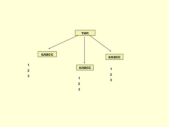 тип класс класс класс 1 2 3 1 2 3 1 2 3