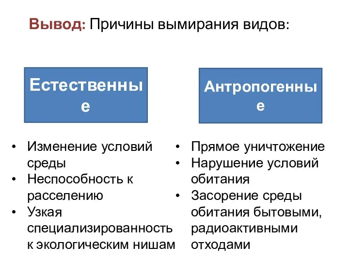 Вывод: Причины вымирания видов: Естественные Антропогенные Прямое уничтожение Нарушение условий обитания