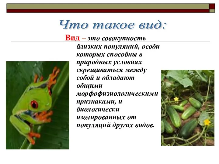 Вид – это совокупность близких популяций, особи которых способны в природных