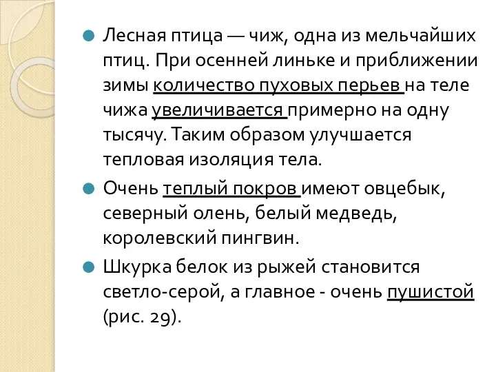 Лесная птица — чиж, одна из мельчайших птиц. При осенней линьке