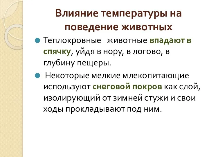 Влияние температуры на поведение животных Теплокровные животные впадают в спячку, уйдя