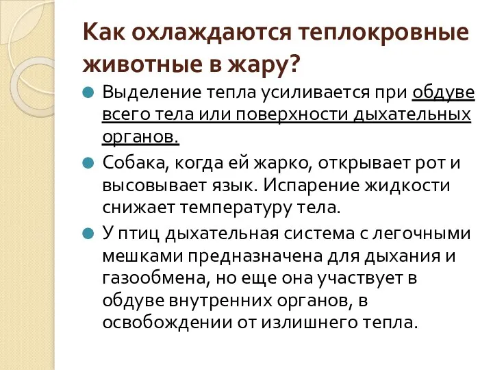 Как охлаждаются теплокровные животные в жару? Выделение тепла усиливается при обдуве