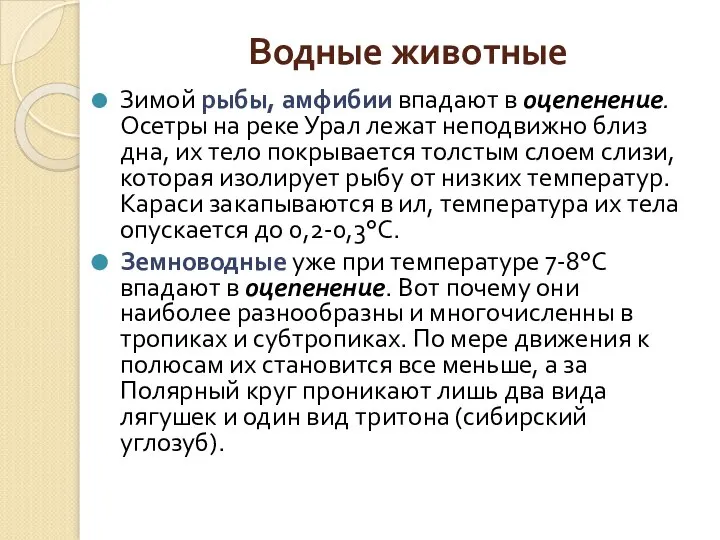 Водные животные Зимой рыбы, амфибии впадают в оцепенение. Осетры на реке