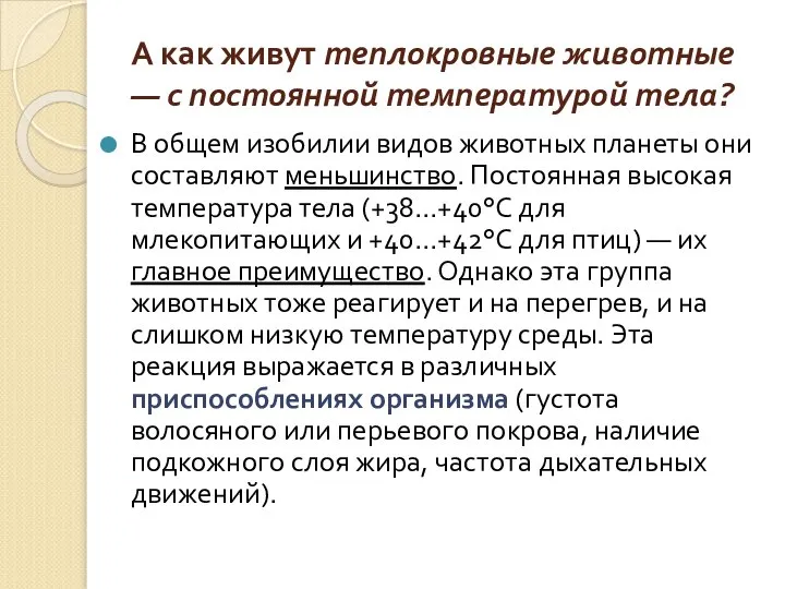 А как живут теплокровные животные — с постоянной температурой тела? В