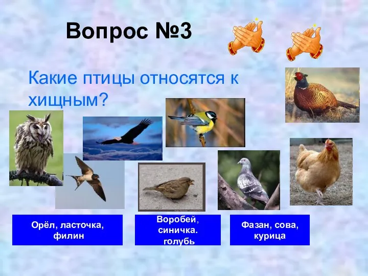 Вопрос №3 Орёл, ласточка, филин Воробей, синичка. голубь Фазан, сова, курица Какие птицы относятся к хищным?