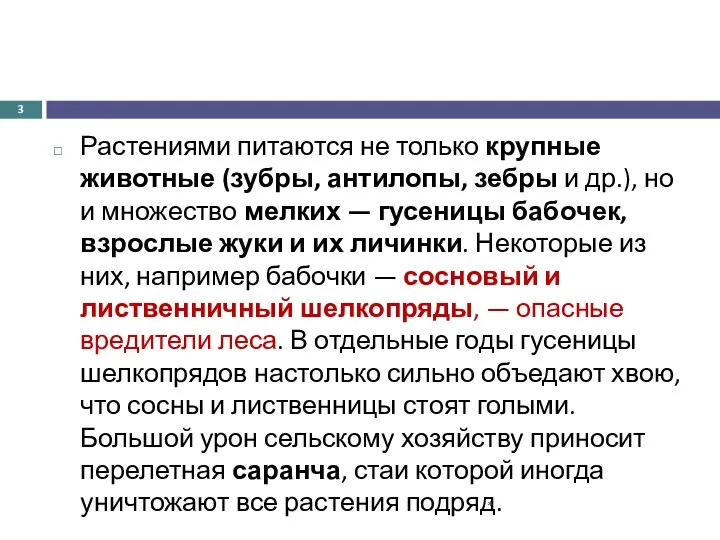 Растениями питаются не только крупные животные (зубры, антилопы, зебры и др.),