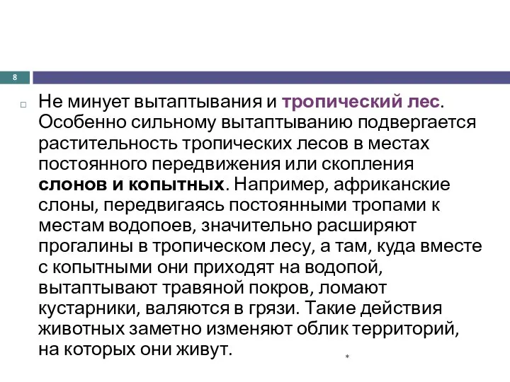 Не минует вытаптывания и тропический лес. Особенно сильному вытаптыванию подвергается растительность