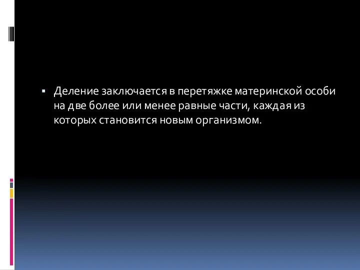 Деление заключается в перетяжке материнской особи на две более или менее