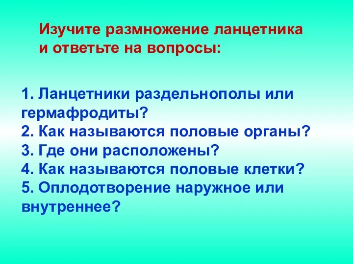 1. Ланцетники раздельнополы или гермафродиты? 2. Как называются половые органы? 3.