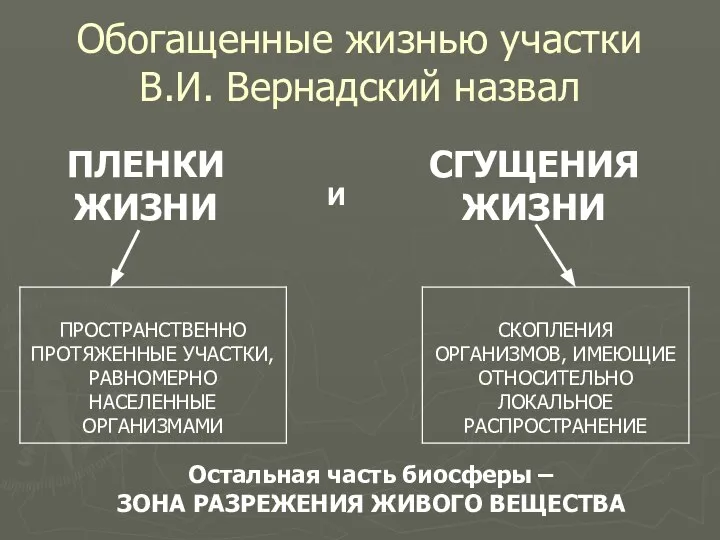 Обогащенные жизнью участки В.И. Вернадский назвал ПЛЕНКИ ЖИЗНИ СГУЩЕНИЯ ЖИЗНИ И