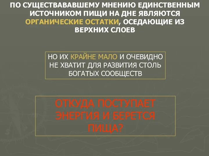 ПО СУЩЕСТВАВАВШЕМУ МНЕНИЮ ЕДИНСТВЕННЫМ ИСТОЧНИКОМ ПИЩИ НА ДНЕ ЯВЛЯЮТСЯ ОРГАНИЧЕСКИЕ ОСТАТКИ,