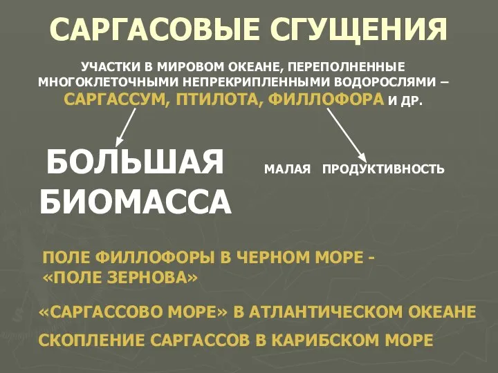 САРГАСОВЫЕ СГУЩЕНИЯ УЧАСТКИ В МИРОВОМ ОКЕАНЕ, ПЕРЕПОЛНЕННЫЕ МНОГОКЛЕТОЧНЫМИ НЕПРЕКРИПЛЕННЫМИ ВОДОРОСЛЯМИ –